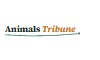 Animals Tribune